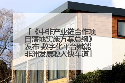 《中非产业链合作项目落地实施方案总纲》发布 数字化平台赋能非洲发展驶入快车道