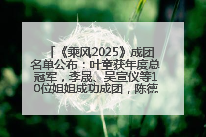 《乘风2025》成团名单公布：叶童获年度总冠军，李晟、吴宣仪等10位姐姐成功成团，陈德容获年度高光人物