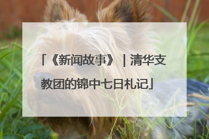 《新闻故事》｜清华支教团的锦中七日札记