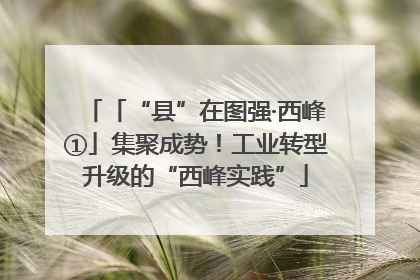 「“县”在图强·西峰①」集聚成势！工业转型升级的“西峰实践”