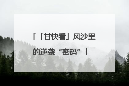 「甘快看」风沙里的逆袭“密码”