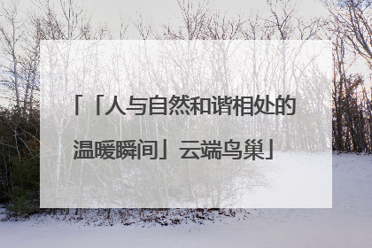 「人与自然和谐相处的温暖瞬间」云端鸟巢