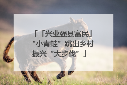 「兴业强县富民」“小青蛙”跳出乡村振兴“大步伐”