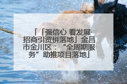 「强信心 看发展·招商引资拼落地」金昌市金川区：“全周期服务”助推项目落地
