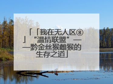「我在无人区⑧」“温情联盟”——黔金丝猴雌猴的生存之道