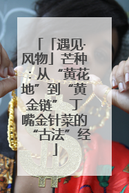「遇见·风物」芒种：从“黄花地”到“黄金链” 丁嘴金针菜的“古法”经
