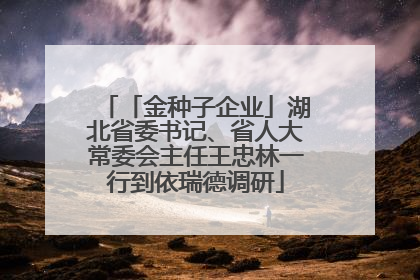 「金种子企业」湖北省委书记、省人大常委会主任王忠林一行到依瑞德调研