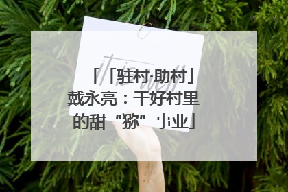 「驻村·助村」戴永亮：干好村里的甜“猕”事业