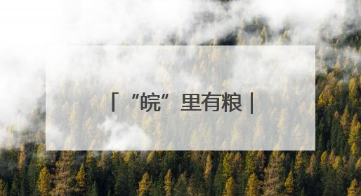 “皖”里有粮｜“三夏”时节，一“皖”麦香