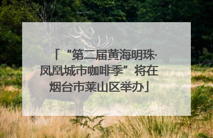 “第二届黄海明珠·凤凰城市咖啡季”将在烟台市莱山区举办
