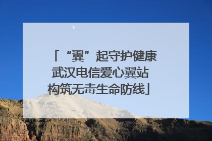 “翼”起守护健康 武汉电信爱心翼站构筑无毒生命防线