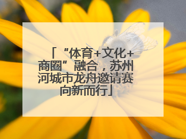 “体育+文化+商圈”融合，苏州河城市龙舟邀请赛向新而行