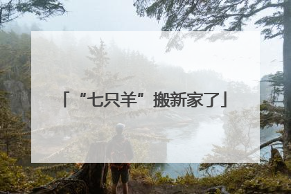 “七只羊”搬新家了