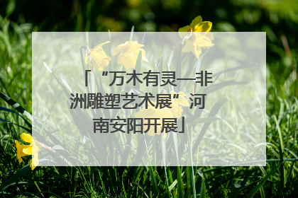 “万木有灵—非洲雕塑艺术展”河南安阳开展