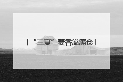 “三夏”麦香溢满仓