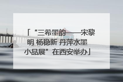 “三希墨韵——宋黎明 杨稳新 丹萍水墨小品展”在西安举办
