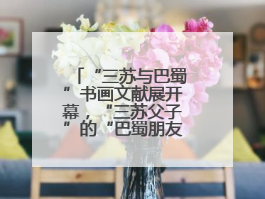 “三苏与巴蜀”书画文献展开幕，“三苏父子”的“巴蜀朋友圈”人物亮相