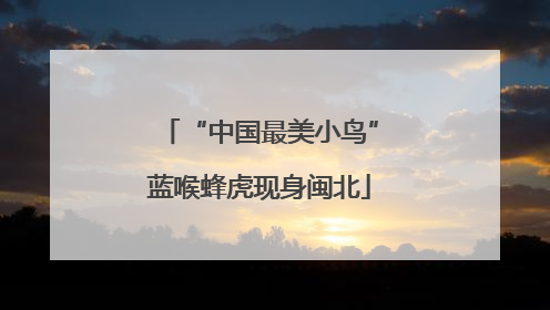 “中国最美小鸟”蓝喉蜂虎现身闽北