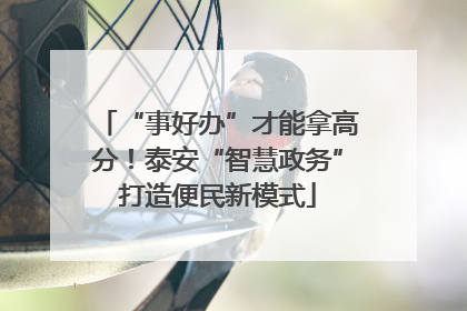 “事好办”才能拿高分！泰安“智慧政务”打造便民新模式