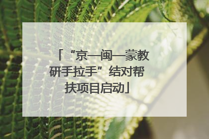 “京—闽—蒙教研手拉手”结对帮扶项目启动