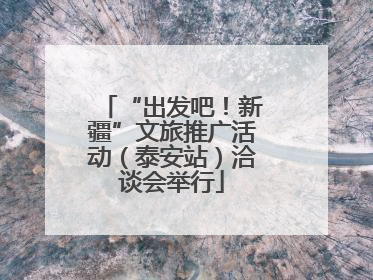 “出发吧！新疆”文旅推广活动（泰安站）洽谈会举行
