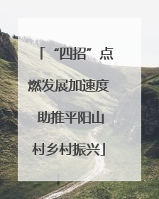 “四招”点燃发展加速度 助推平阳山村乡村振兴
