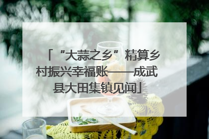 “大蒜之乡”精算乡村振兴幸福账——成武县大田集镇见闻