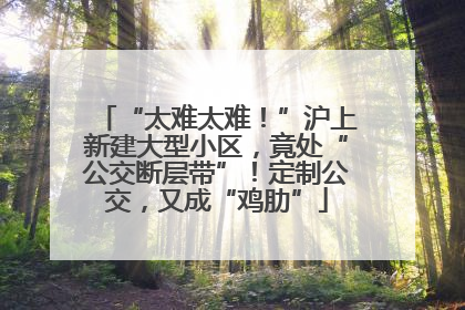 “太难太难！”沪上新建大型小区，竟处“公交断层带”！定制公交，又成“鸡肋”