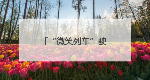 “微笑列车”驶向幸福（图）