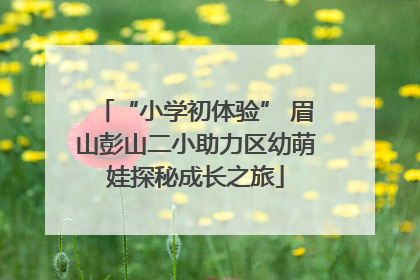 “小学初体验” 眉山彭山二小助力区幼萌娃探秘成长之旅