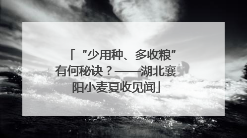 “少用种、多收粮”有何秘诀？——湖北襄阳小麦夏收见闻