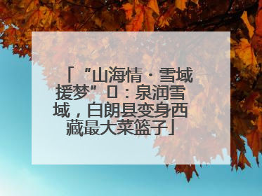 “山海情・雪域援梦”⑪：泉润雪域，白朗县变身西藏最大菜篮子