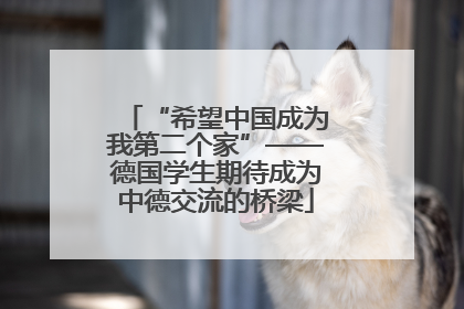 “希望中国成为我第二个家”——德国学生期待成为中德交流的桥梁