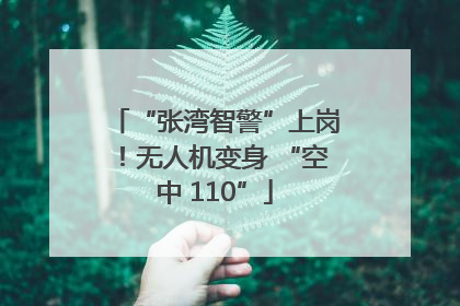 “张湾智警”上岗！无人机变身 “空中 110”