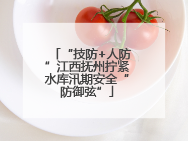 “技防+人防”江西抚州拧紧水库汛期安全“防御弦”