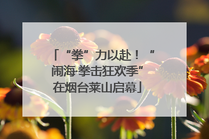 “拳”力以赴！“闹海·拳击狂欢季”在烟台莱山启幕