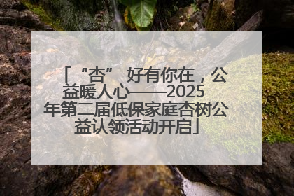 “杏” 好有你在，公益暖人心——2025 年第二届低保家庭杏树公益认领活动开启