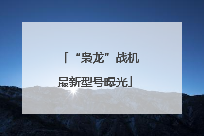 “枭龙”战机最新型号曝光