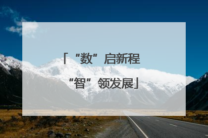 “数”启新程 “智”领发展