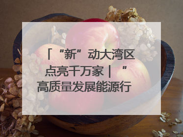 “新”动大湾区 点亮千万家｜“高质量发展能源行”系列报道③