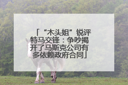 “木头姐”锐评特马交锋：争吵揭开了马斯克公司有多依赖政府合同