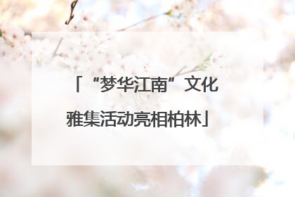 “梦华江南”文化雅集活动亮相柏林