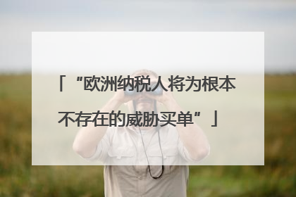 “欧洲纳税人将为根本不存在的威胁买单”