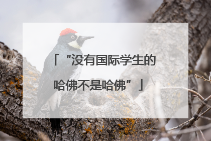 “没有国际学生的哈佛不是哈佛”