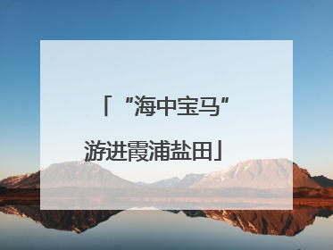 “海中宝马”游进霞浦盐田