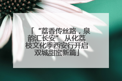 “荔香传丝路，泉韵汇长安” 从化荔枝文化季西安行开启双城甜蜜新篇