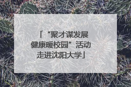 “聚才谋发展 健康暖校园”活动走进沈阳大学
