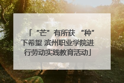 “芒”有所获 “种”下希望 滨州职业学院进行劳动实践教育活动