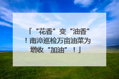 “花香”变“油香”！南漳巡检万亩油菜为增收“加油”！