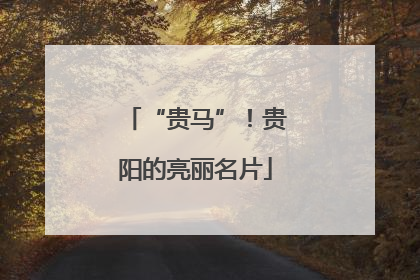 “贵马”！贵阳的亮丽名片